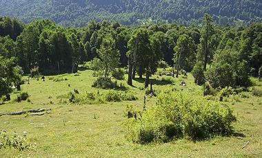 CAMPO PANQUI UN  PRIVILEGIO DE LA NATURALEZA