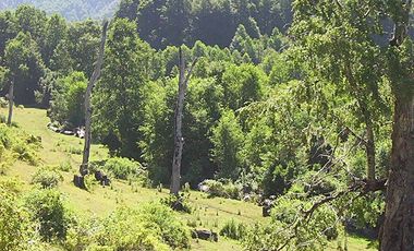 CAMPO PANQUI UN  PRIVILEGIO DE LA NATURALEZA