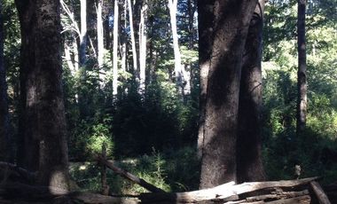 CAMPO PANQUI UN  PRIVILEGIO DE LA NATURALEZA