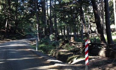 CAMPO PANQUI UN  PRIVILEGIO DE LA NATURALEZA