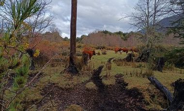 CAMPO PANQUI UN  PRIVILEGIO DE LA NATURALEZA