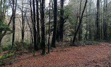 CAMPO PANQUI UN  PRIVILEGIO DE LA NATURALEZA