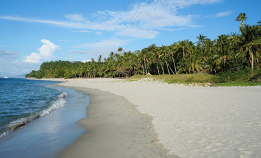 🏨 For Sale: Hotel in Puerto Galera 🌴