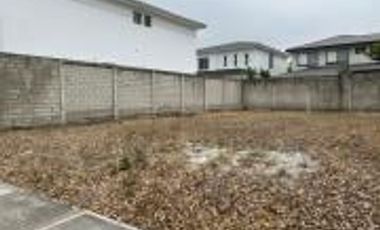 TERRENO DE VENTA EN ISLA MOCOLI