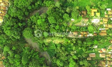 Secure Your Bali Investment: 700 sqm Leasehold Land for Sale in Buwit, Tabanan with Natural Beauty
