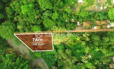 Secure Your Bali Investment: 700 sqm Leasehold Land for Sale in Buwit, Tabanan with Natural Beauty