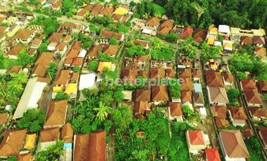 Secure Your Bali Investment: 700 sqm Leasehold Land for Sale in Buwit, Tabanan with Natural Beauty