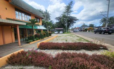 Newly Build Resort in Panglao, Bohol | BOHOLANA REALTY