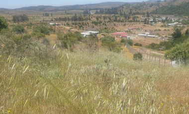 Bella Parcela en sector Lagunillas de Casablanca, Quinta Región $59.990.000