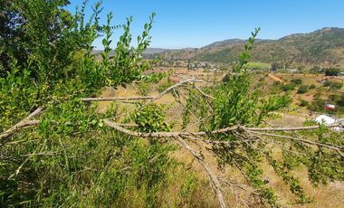Bella Parcela en sector Lagunillas de Casablanca, Quinta Región $59.990.000