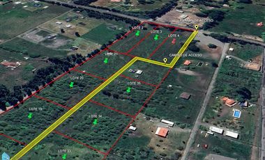 Parcelas planas de 5000 m2 en Quillón - Bulnes.