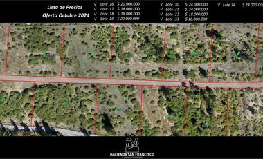 Parcelas planas de 5000 m2 en Quillón - Bulnes.