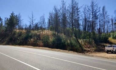 En venta parcelas planas de 5000 m2 en Ñipas - Crédito directo.