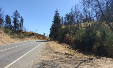 En venta parcelas planas de 5000 m2 en Ñipas - Crédito directo.