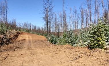 En venta parcelas planas de 5000 m2 en Ñipas - Crédito directo.