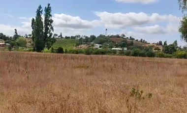 En Venta parcelas planas de 5000 m2 en El Barco