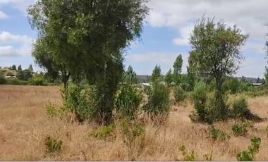 En Venta parcelas planas de 5000 m2 en El Barco