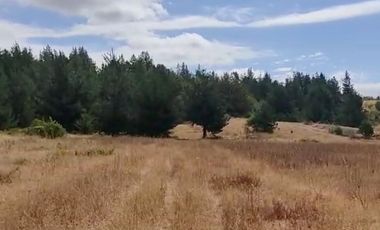 En Venta parcelas planas de 5000 m2 en El Barco