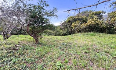 LOTE TERRENO EN VENTA SECTOR PARCELACION CALIFORNIA BELLO ANTIOQUIA