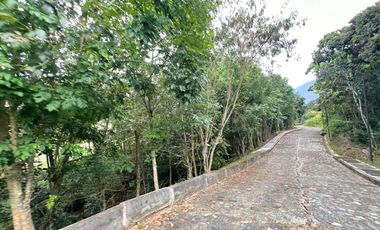 LOTE TERRENO EN VENTA SECTOR PARCELACION CALIFORNIA BELLO ANTIOQUIA