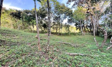 LOTE TERRENO EN VENTA SECTOR PARCELACION CALIFORNIA BELLO ANTIOQUIA