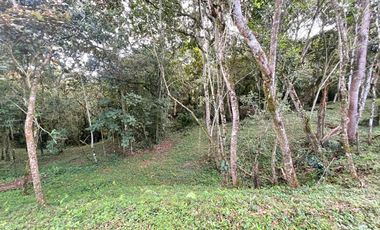 LOTE TERRENO EN VENTA SECTOR PARCELACION CALIFORNIA BELLO ANTIOQUIA