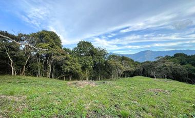 LOTE TERRENO EN VENTA SECTOR PARCELACION CALIFORNIA BELLO ANTIOQUIA