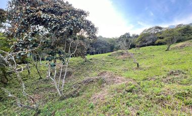 LOTE TERRENO EN VENTA SECTOR PARCELACION CALIFORNIA BELLO ANTIOQUIA