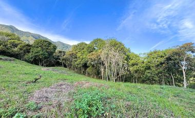 LOTE TERRENO EN VENTA SECTOR PARCELACION CALIFORNIA BELLO ANTIOQUIA