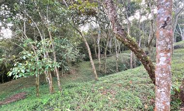 LOTE TERRENO EN VENTA SECTOR PARCELACION CALIFORNIA BELLO ANTIOQUIA