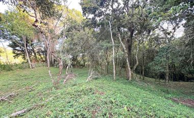 LOTE TERRENO EN VENTA SECTOR PARCELACION CALIFORNIA BELLO ANTIOQUIA