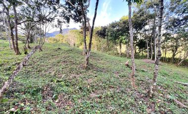 LOTE TERRENO EN VENTA SECTOR PARCELACION CALIFORNIA BELLO ANTIOQUIA