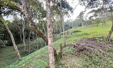 LOTE TERRENO EN VENTA SECTOR PARCELACION CALIFORNIA BELLO ANTIOQUIA