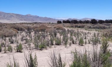 PARCELA SECTOR BY PASS-ORILLA CALETERA