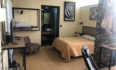 Departamento Nuevo Amueblado en Renta - San Mateo Atenco