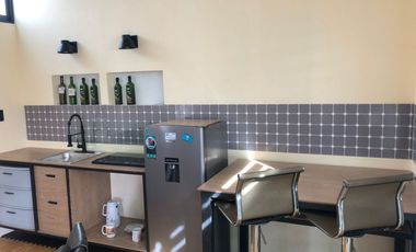 Departamento Nuevo Amueblado en Renta - San Mateo Atenco