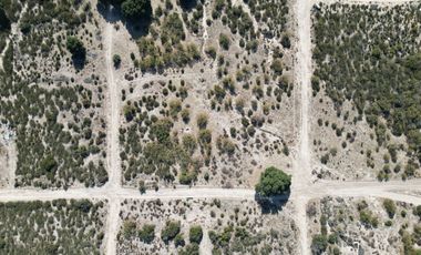 Venta 2,000 m² de terreno en  Cañadas del Sol Secc. Cañada Verde