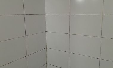 DEPTO., ESTAC. y BODEGA - A DOS CUADRAS DEL METRO SANTA ISABEL L. 5.