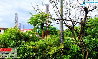 For Sale in San Pablo, Ormoc City – Prime Location with Expansion Potential
