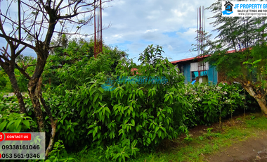 For Sale in San Pablo, Ormoc City – Prime Location with Expansion Potential