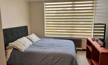 Se vende departamento en Parque Río Cruces, Isla Teja