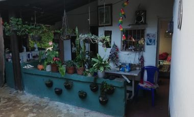 ARRIENDO FINCA LAS ANTILLAS