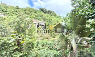 Newly Renovated 4 Bedroom Mediterranean-inspired House in Maria Luisa for Sale