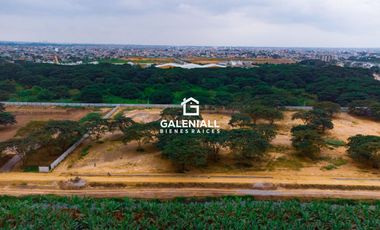 Terrenos en Venta en Urbanización Brassia, Machala