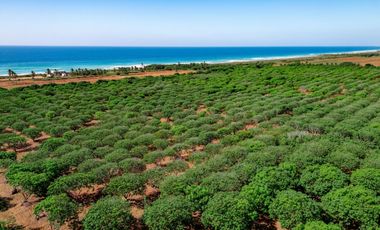 Se Vende Lotes Exclusivos con Vista al Mar en Fraccionamiento Plataforma - Puerto Escondido