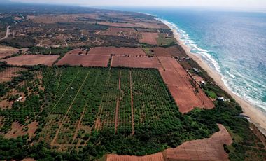 Se Vende Lotes Exclusivos con Vista al Mar en Fraccionamiento Plataforma - Puerto Escondido