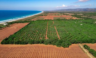 Se Vende Lotes Exclusivos con Vista al Mar en Fraccionamiento Plataforma - Puerto Escondido