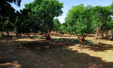 Se Vende Lotes Exclusivos con Vista al Mar en Fraccionamiento Plataforma - Puerto Escondido