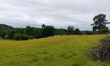 Hermosas Parcelas con vista al Volcán y Valle de Villarrica