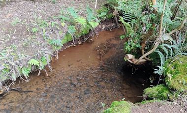 Hermosas Parcelas con vista al Volcán y Valle de Villarrica
